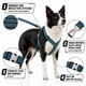 thumbnail image 2 of Correa para perro y arnés para mascota Pet Life ® Outdoor Series 'Escapade', 2 of 6