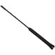 thumbnail image 2 of 11 "Radio De Coche Antena De Se?al De Se?al De Automóvil ANTENA ARENICAL AM FM BOOSTER MAST BLACK, 2 of 5