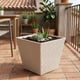 thumbnail image 3 of Set 2 Macetero Plastico Bajo Premium Base Cuadrada Conica L beige, 3 of 7