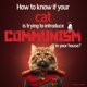 thumbnail image 1 of How To Know If Your Cat Is Trying To Introduce Communism In Your House? - (Funny Cat Book for Cat Lovers, Gift For Catlovers), 1 of 1