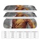 thumbnail image 2 of I Am Groot Bedding Comforter Sets 3-Piece Bedding Set Soft Warm Bed Set for Bedroom All Season, 2 of 5