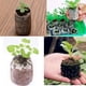 thumbnail image 5 of Bloque de turba biodegradable para iniciar semillas de plantas de jardín y flores - 31 mm marrón, 60 unidades, 5 of 5