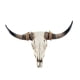 thumbnail image 1 of Cabezas De Animales Decoración De Pared Gabinete Dormitorio Longhorn Vaca Cráneo Escultura De Pared, 1 of 5