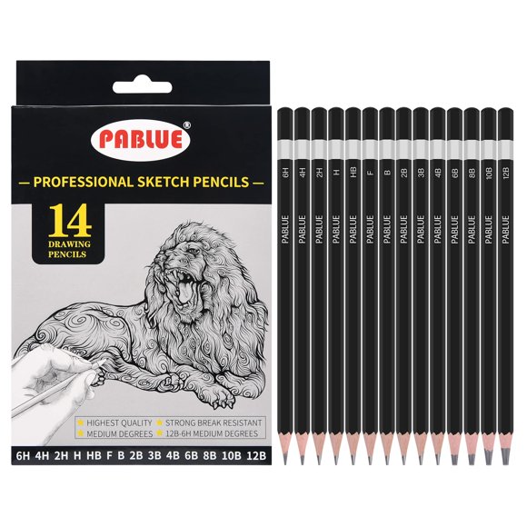 Lápices de Dibujo PABLUE 14 piezas 6H-12B Set de Grafito