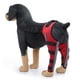 thumbnail image 1 of Rodillera ajustable para perro, doble soporte para patas traseras con bisagras de metal y cinturones de seguridad reflectantes (rojo), 1 of 6