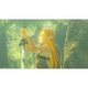 thumbnail image 2 of Juego The Legend of Zelda: Breath of the Wild Nintendo Switch 2, 2 of 6