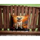 thumbnail image 2 of Almohada Decorativa White Boxer Fall, 2 of 6