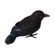 thumbnail image 4 of Cuervos Negros Falsos Artificiales, Decoración De Cuervos Emplumados Para Balcón, Patio, Césped, Estilo A, 4 of 5
