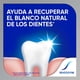 thumbnail image 3 of Pasta Dental Sensodyne Repara y Protege Blanqueadora, 200 g, 3 of 9
