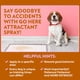 thumbnail image 5 of ¡Spray atrayente para perros OUT! Entrena para ir al baño con 960 ml, 5 of 7