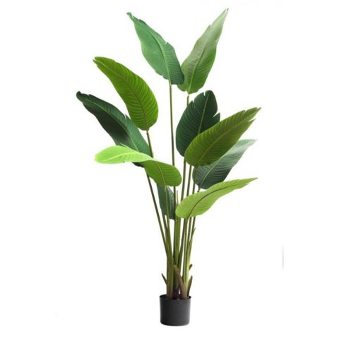 Corel - Palmera Sterlitzia 160Cm Artificial (Flor De Pajaro)