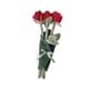 thumbnail image 3 of Bonita Muñeca De Peluche De Flores, Suave, Decoración Para El Hogar, Bonita Y Creativa, Para Esposa, Hija Y Niñas, Color Rojo, 3 of 5
