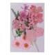 thumbnail image 4 of Múltiples Mezclas De Flores Secas Prensadas Naturales Hojas DIY Art Craft 2.5-3cm Rosa, 4 of 5
