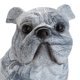 thumbnail image 3 of Adorno Resina Perro Jean 23x17x22 cm, 3 of 3