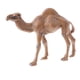 thumbnail image 3 of Figuras De Modelos De Animales Realistas, Juguete Educativo Para Ni?os, Regalo, Dromedario, 3 of 5