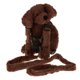 thumbnail image 1 of seguridad para bebés, riendas para caminar, mochila anti-perdida, arnés, correa, perro marrón, 1 of 5
