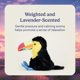 thumbnail image 3 of Peluche de peluche Warmies Toucan con peso de 33 cm, 3 of 6
