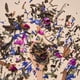 thumbnail image 3 of Enfusion Té Y Bienestar Mujer Plena 50grs Té Blanco, 3 of 5