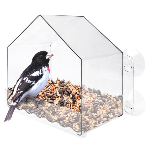 Alimentador de Aves NATURE'S WAY 17 cm Vista Clara Capacidad 2 Tazas