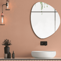 Dellorto - Espejo Belga Orgánico Con Bastidor 48X60 Cm - Liscia