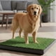 thumbnail image 5 of Baño Ecologico Mascota Grande XXL Perro Lavable, 5 of 6