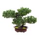 thumbnail image 3 of Plantas Artificiales De La Casa Del árbol De Pino De La Decoración De Los Bonsais Para La Mesa Del Comedor Estilo Duradero D, 3 of 3