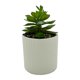 thumbnail image 4 of Planta Artificial 16cm, 1 unidad, 4 of 4