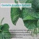 thumbnail image 4 of Crema Facial Hydra B5 Repair 52 Ml Con Niacinamida, 4 of 7