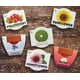 thumbnail image 5 of Macetas pequeñas de terracota Planter BUZZY, paquete de 12 unidades, surtidas, 5 of 6