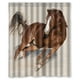 thumbnail image 1 of Cortina de ducha con diseño de caballo corriendo, juego de cortinas de baño con ganchos, tamaño 60 x 72 pulgadas, 1 of 3