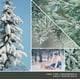 thumbnail image 3 of Vela aromática, 3 of 3