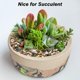 thumbnail image 5 of Piedras decorativas Virekm River Rocks para decoración de jardines, 5 of 8