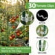 thumbnail image 4 of Cage para tomates K-Brands, paquete de 3, enrejado cuadrado de 104 cm, 4 of 8