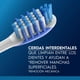 thumbnail image 2 of Cepillo de Dientes Radiant con Cerdas Interdentales, 1 Un, 2 of 5