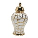 thumbnail image 1 of Florero De Cerámica Organizador Almacenamiento Flores Titulares Porcelana Ginger Jar 32x17cm, 1 of 5