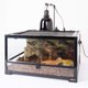 thumbnail image 5 of Lámparas de bajo consumo UVB para reptiles, 26 W, 5.0 Repti Zoo, 5 of 8