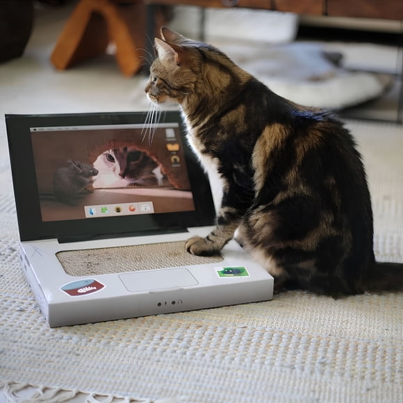 Rascador para gato catbook/notebook BRNX