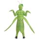 thumbnail image 5 of Disfraz de Mantis Religiosa para Niños Temporadas Talla S (4-6) Poliéster, 5 of 8