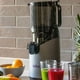 thumbnail image 2 of Extractor de Jugo Prensado en Frío / Slow Juicer SJ-026., 2 of 9