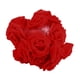 thumbnail image 4 of Guirnalda De Luces LED Con Flores De Rosas, Decoraciones Románticas Para Jardín, Ventana, Boda, Rojo, 4 of 5