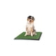 thumbnail image 1 of Baño Ecológico para Perros Grande, 1 of 2