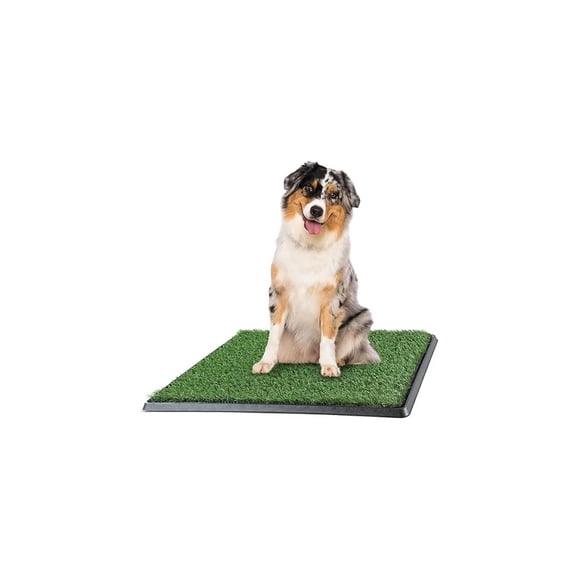 Baño Ecológico para Perros Grande