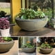thumbnail image 3 of Maceta Bowl Calota 53 Cobre, 3 of 4