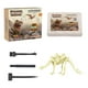 thumbnail image 2 of Kits De Excavación De Esqueleto De Animales Para Niños, Juguetes De Excavación DIY Para Niños En Edad Preescolar, Estilo D, 2 of 5