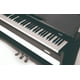 thumbnail image 4 of Piano Digital Nux Wk-310, 4 of 4