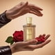 thumbnail image 5 of Perfume ROMASS Nomadic Night Unisex 100 ml Eau de Parfum, 5 of 8