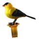 thumbnail image 5 of Juguetes Educativos De Música De Pájaro Controlado Con Voz Para Niños Parrot Para Bebés Para Bebés, 5 of 5