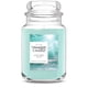 thumbnail image 1 of Tarro grande Scented Candle Yankee Candle Catching Rays de 650 ml, 1 of 8