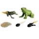 thumbnail image 1 of Juego De Figuras De Animales De Simulación De Juguetes Para Ni?os Proceso De Crecimiento De Ranas, 1 of 5