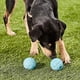 thumbnail image 2 of Juguete para perros Chuckit! Rebounce Ball Bouncy Fetch para perros de 9 a 27 kg, 2 of 9